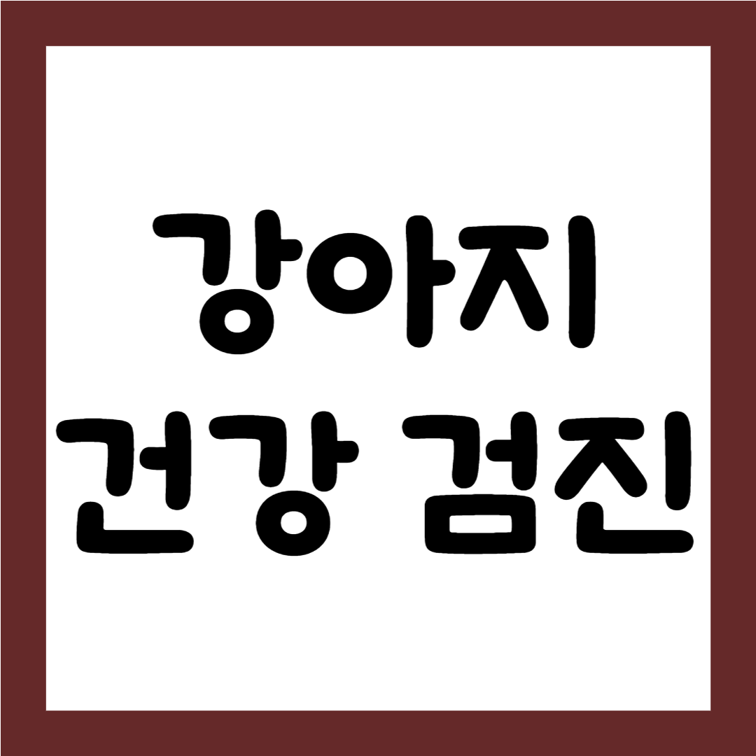 강아지 건강 검진 중요성1