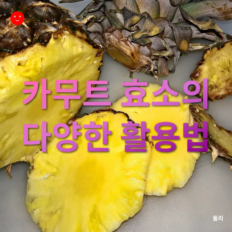 카무트 효소_3
