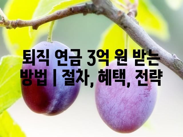 랜덤185