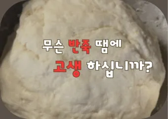 마가복음 15장 예수님의 헌신_22
