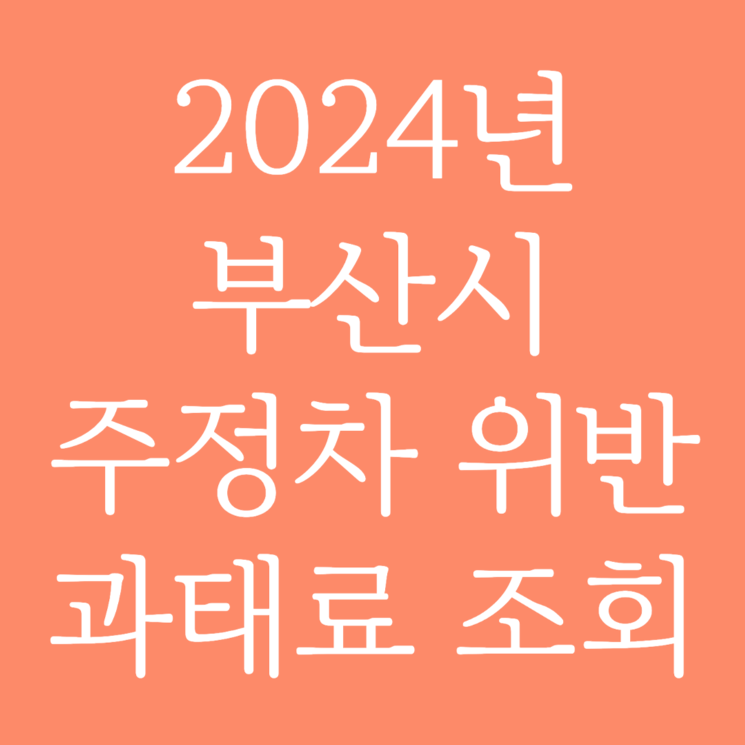 2024년 부산시 주정차 위반 과태료 조회하기