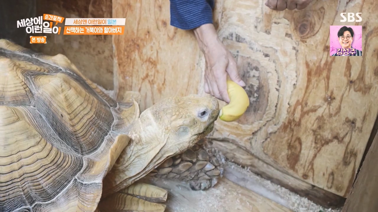순간포착 세상에 이런일이.E1243.230827p-NEXT.mp4_20230827_173839.547.jpg