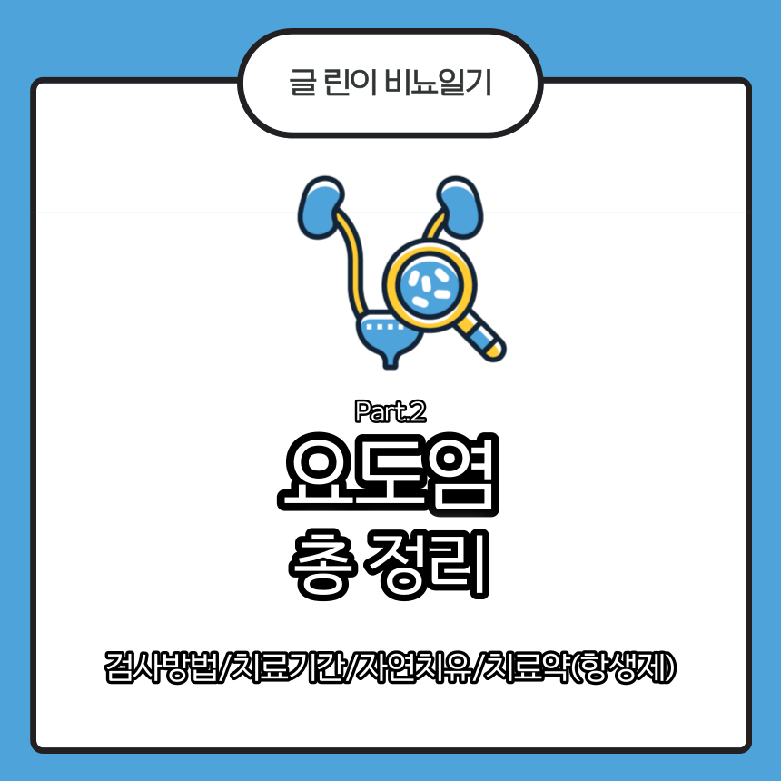  요도염 총 정리 Part.2 : 검사방법/치료기간/자연치유/치료약(항생제)