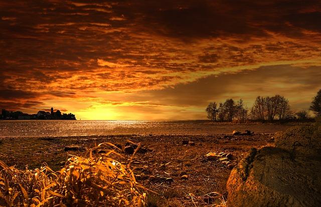 blog-image