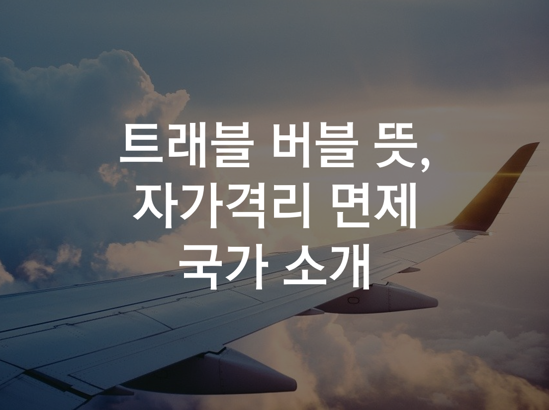 트래블 버블 뜻, 자가격리 면제 국가 소개