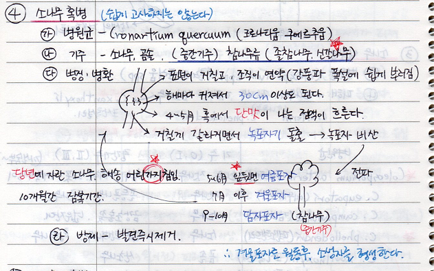  [수목병리학] (녹병) 소나무 혹병, 전나무 잎녹병