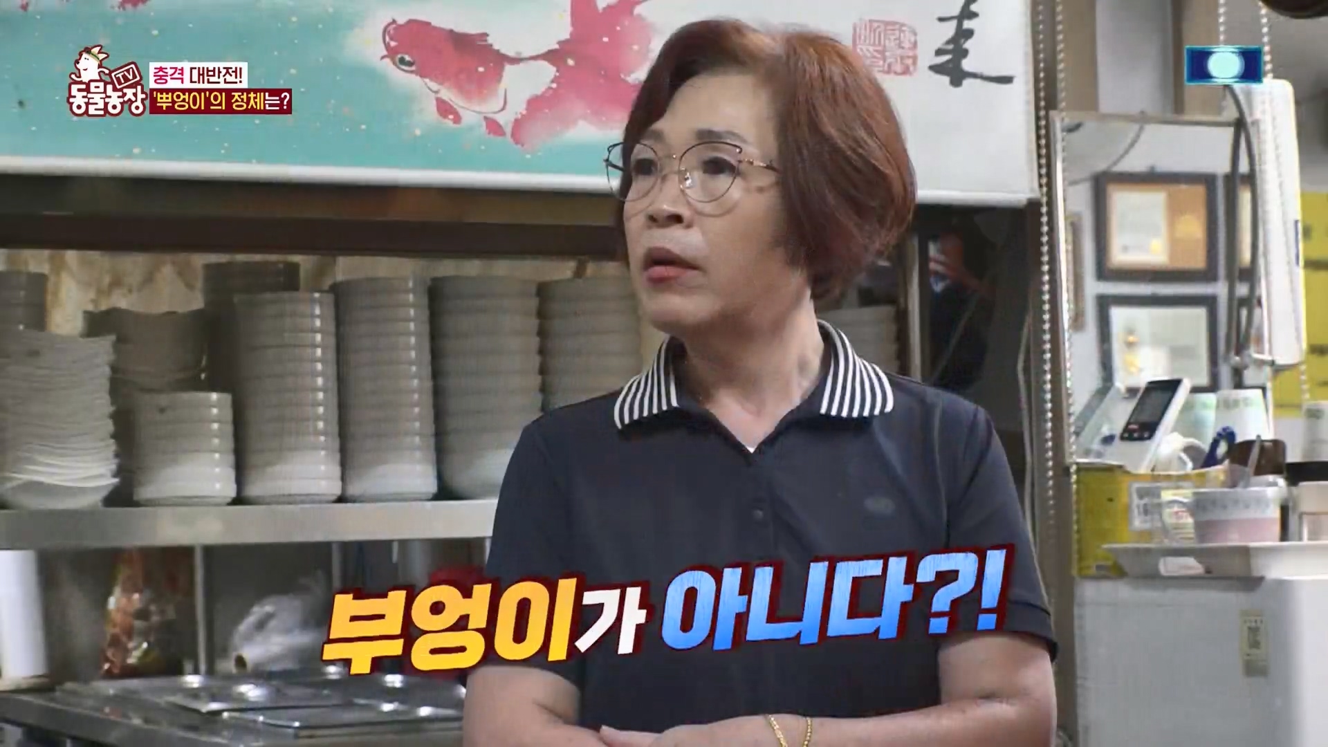 TV 동물농장.E1139.230924p.H264-F1RST.mp4_20230924_170534.267.jpg
