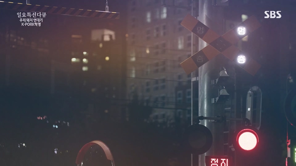 일요 특선 다큐멘터리.E315.230716p.H264-F1RST.mp4_20230717_210707.317.jpg