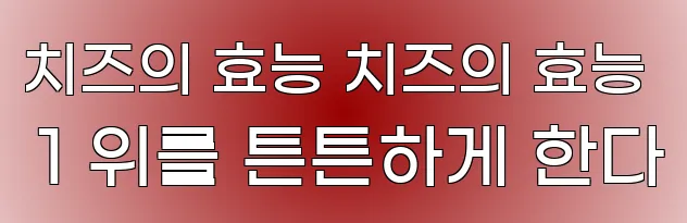 치즈의 효능 치즈의 효능 1 위를 튼튼하게 한다