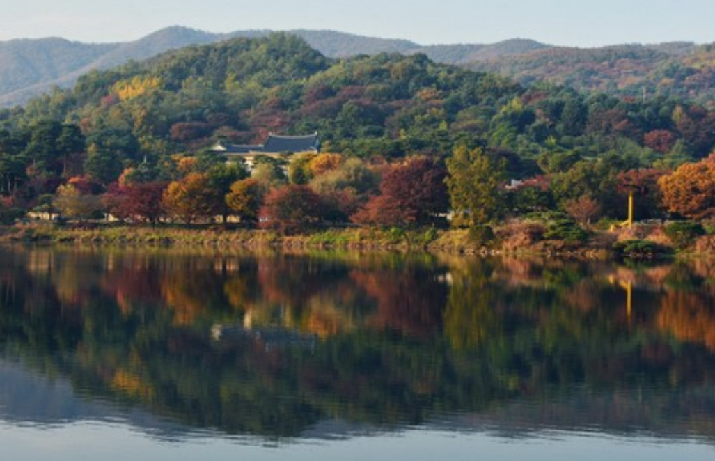 호암미술관 희원