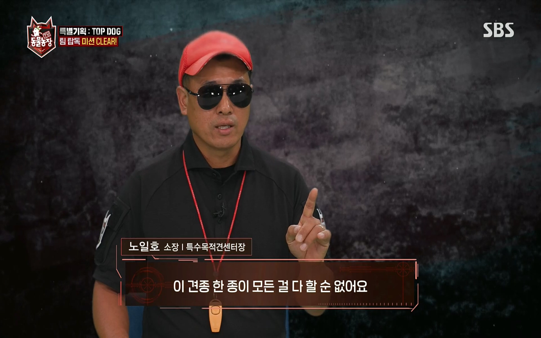 TV 동물농장.E1086.220911p.H264-F1RST.mp4_20220911_174919.372.jpg