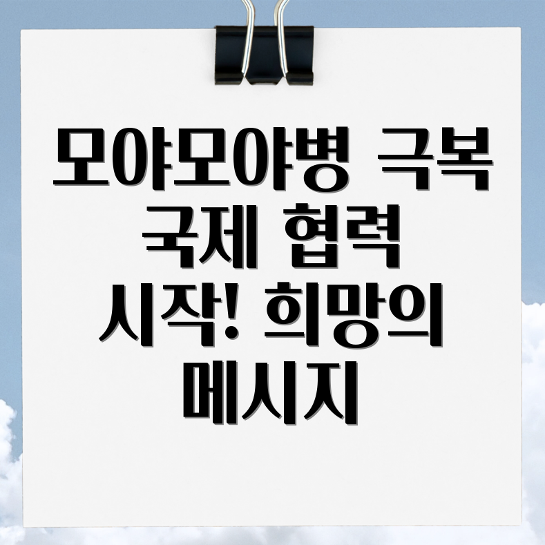 모야모야병 국제협력