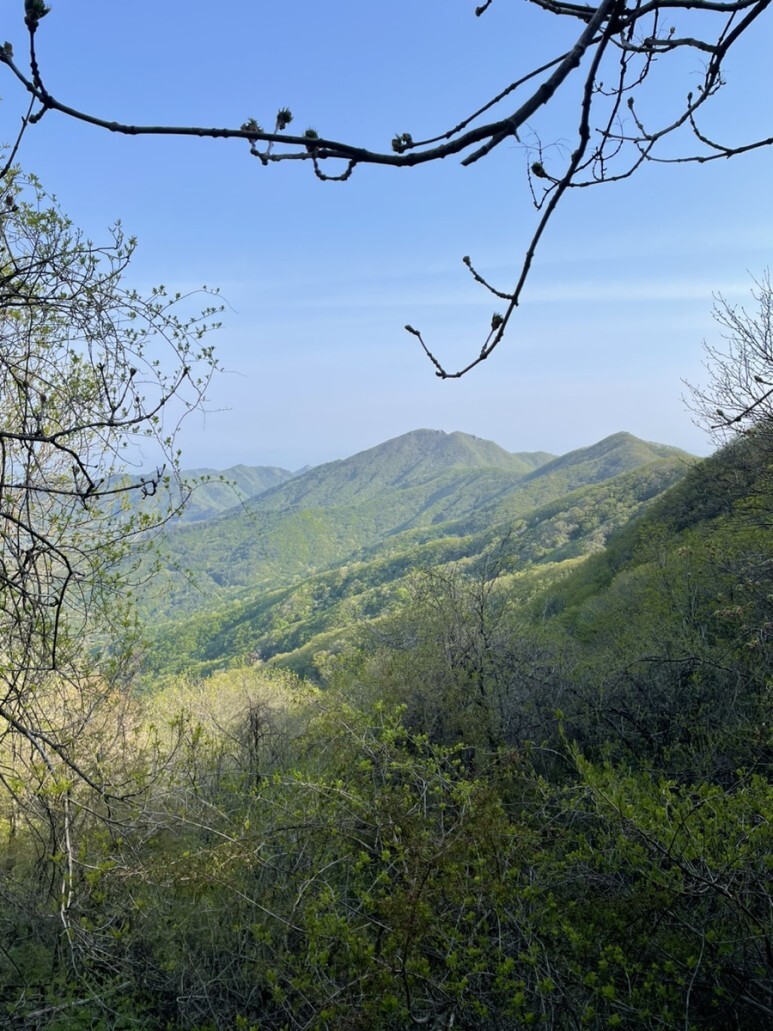 민주지산