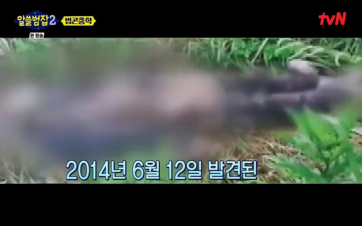 알쓸범잡 2.E15.220425p-NEXT.mp4_20220425_181509.153.jpg