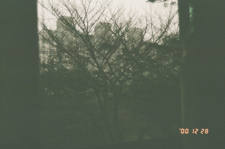 중고 펜탁스 SF7 자동차 필름 카메라 이야기. 결과는 9개월만에 나왔다. 2