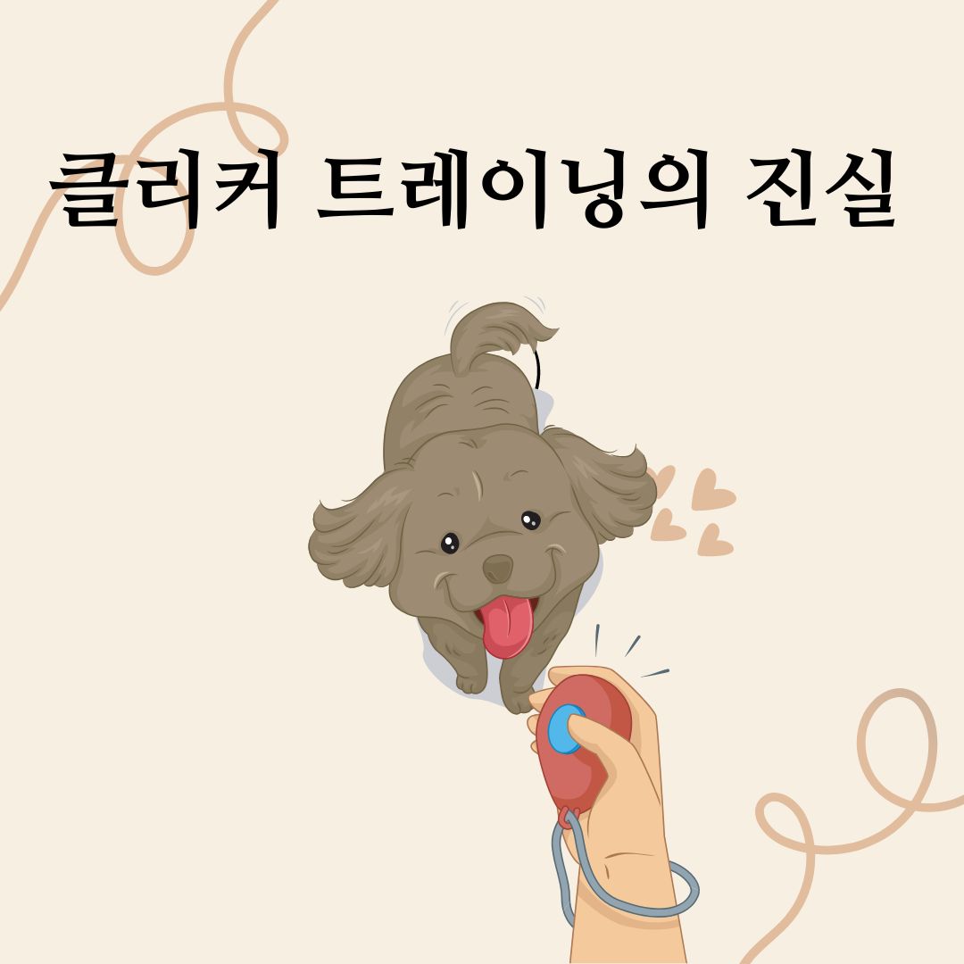  클리커 트레이닝의 진실!