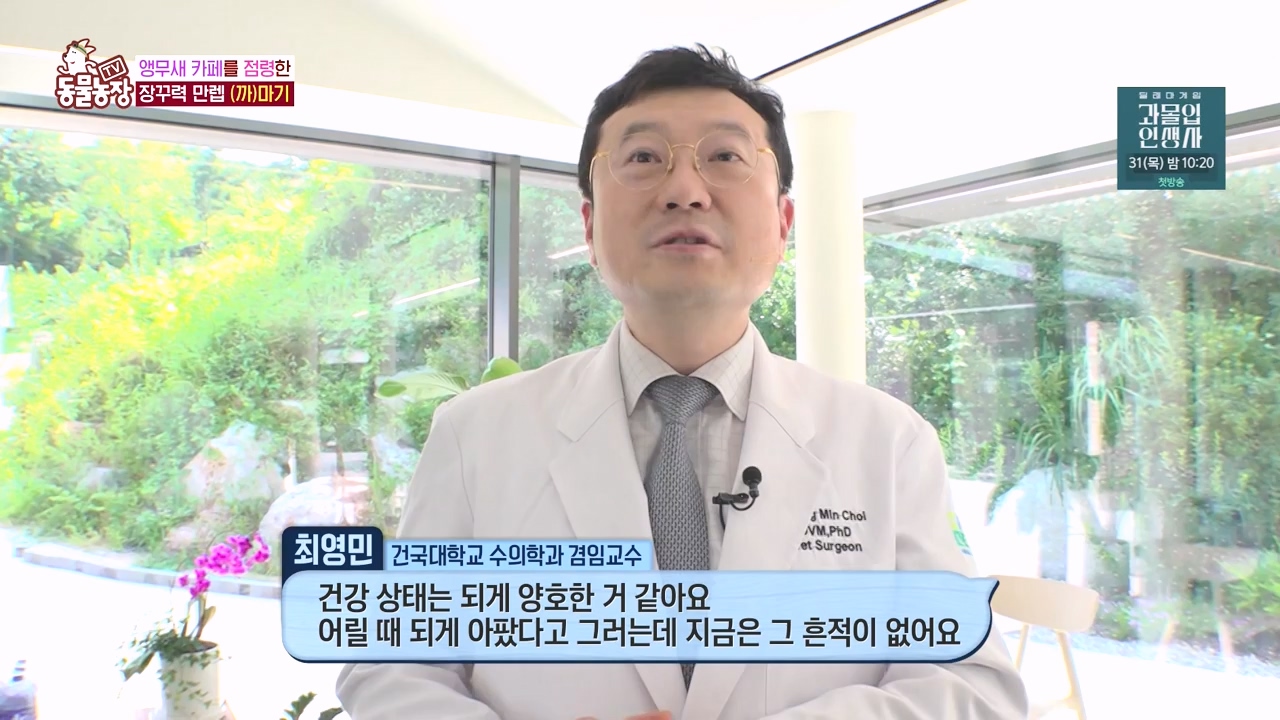 TV 동물농장.E1135.230828p-NEXT.mp4_20230827_180818.686.jpg