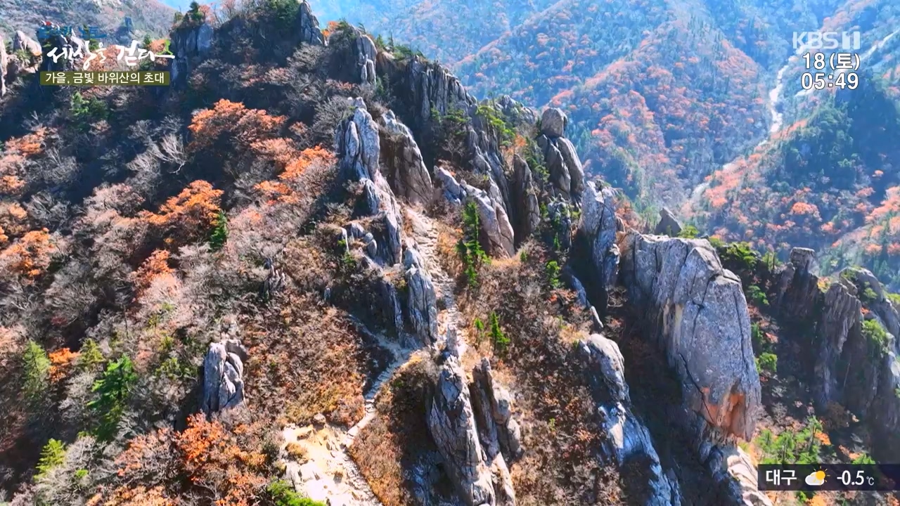 트레킹노트 세상을 걷다.E297.231119p-NEXT.mp4_20231123_212058.737.jpg