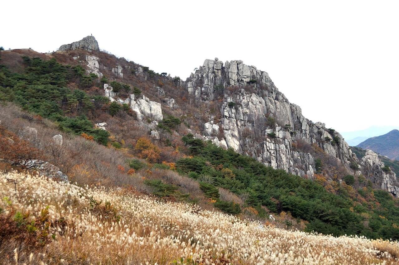 국립공원관리공단 예약 방법 총정리