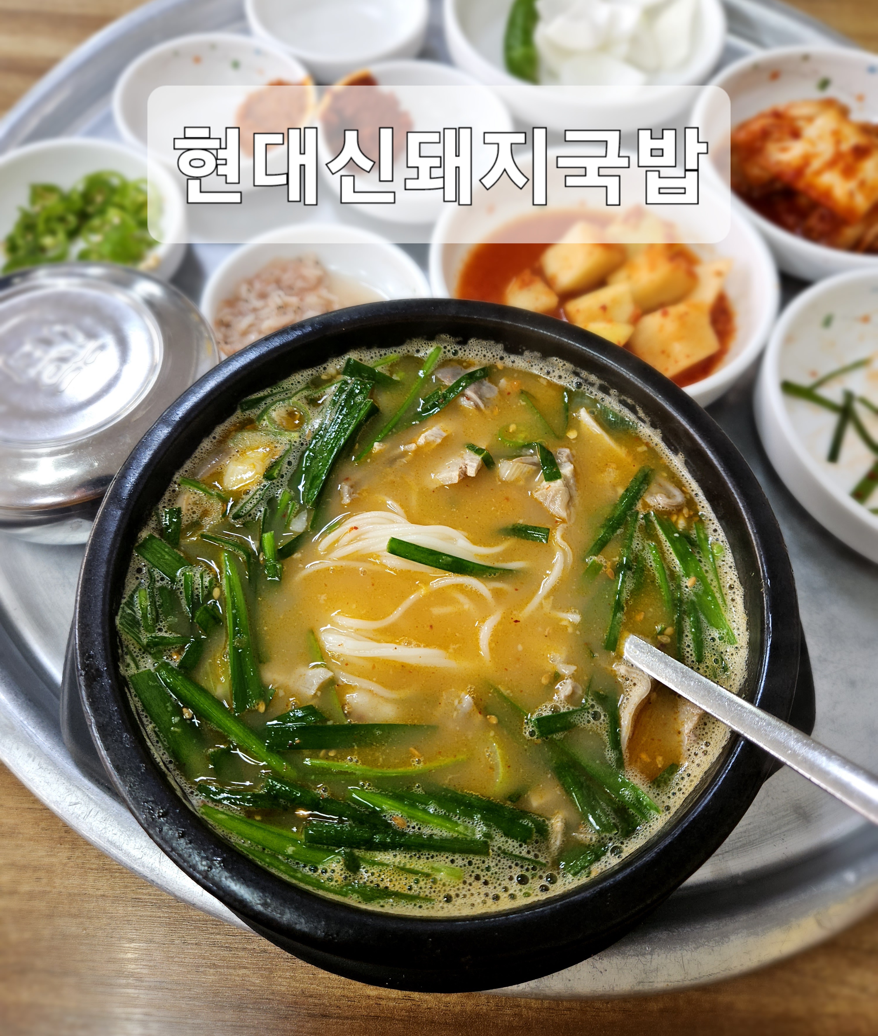  울산 양정동 돼지국밥 추천 [현대신돼지국밥] // 직장인 픽 또간집 맛집