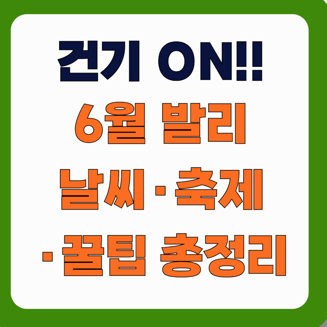 건기 ON! 6월 발리 날씨·축제·꿀팁 총정리