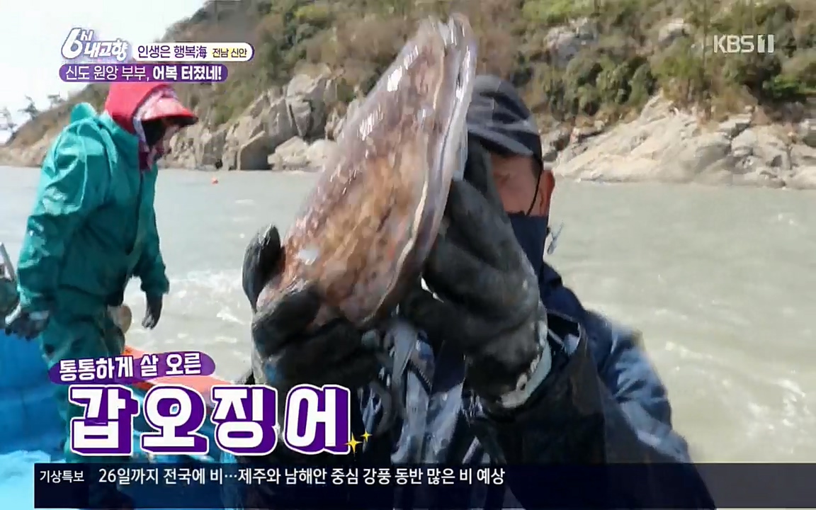 6시 내고향.E7518.220426p.H264-F1RST.mp4_20220504_192341.537.jpg