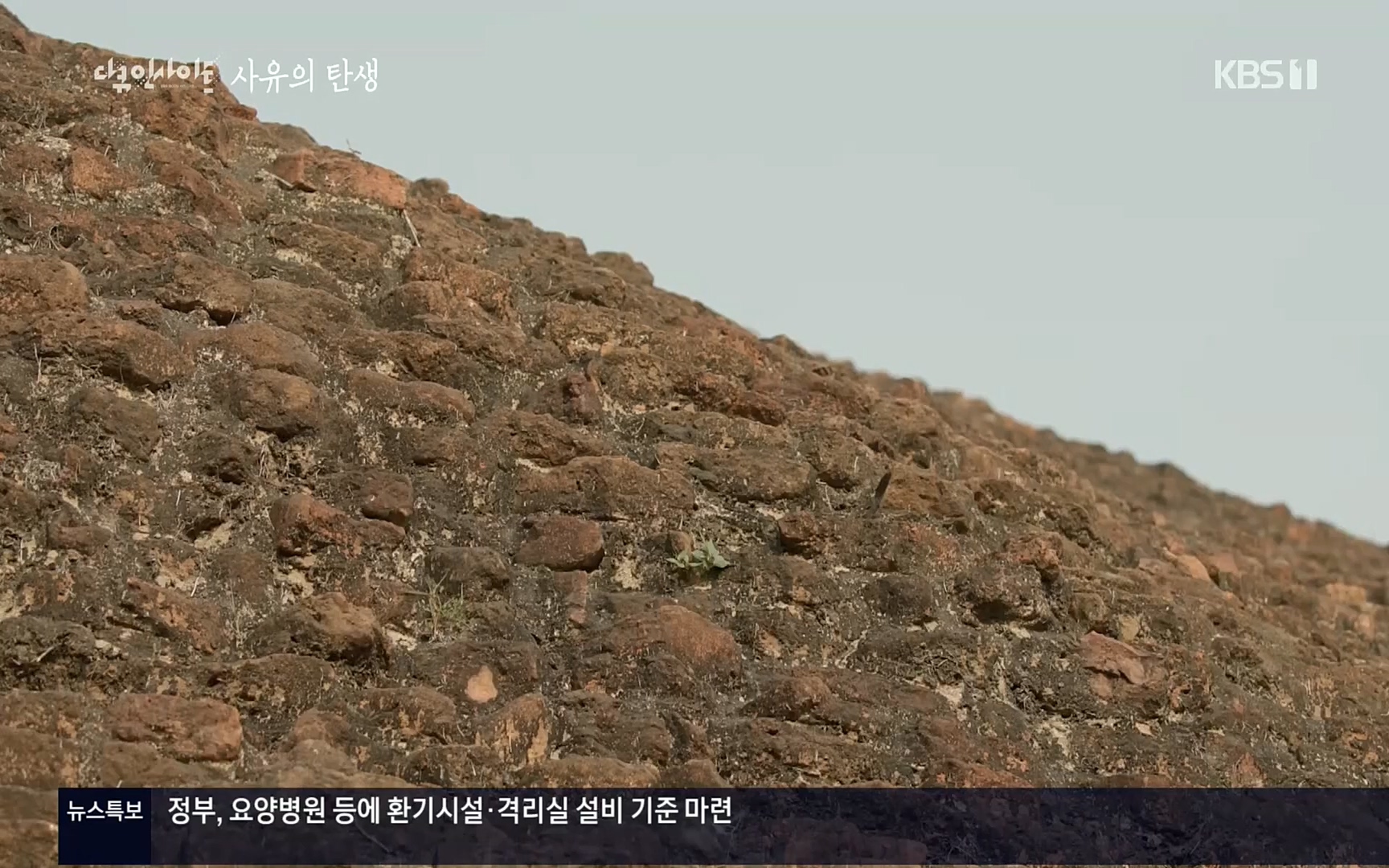 다큐 인사이트.E113.220519p.H264-F1RST.mp4_20220523_205650.119.jpg