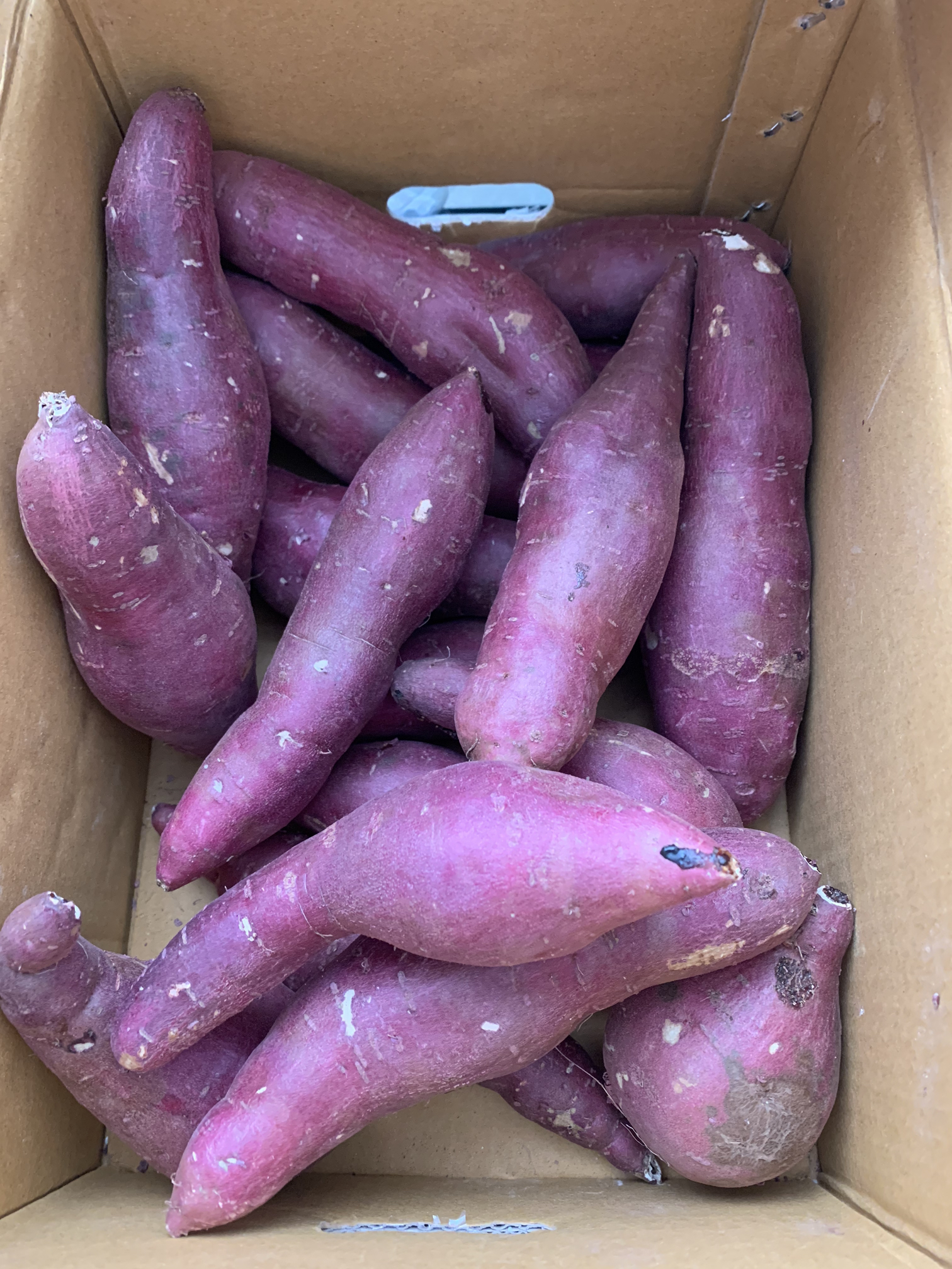  [남도장터] 세척 무농약 베니하루카 고구마 5kg #꿀고구마 리뷰