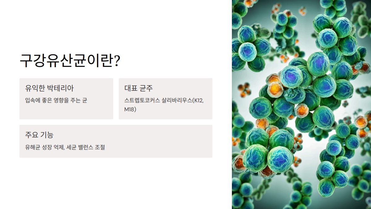구강유산균 추천