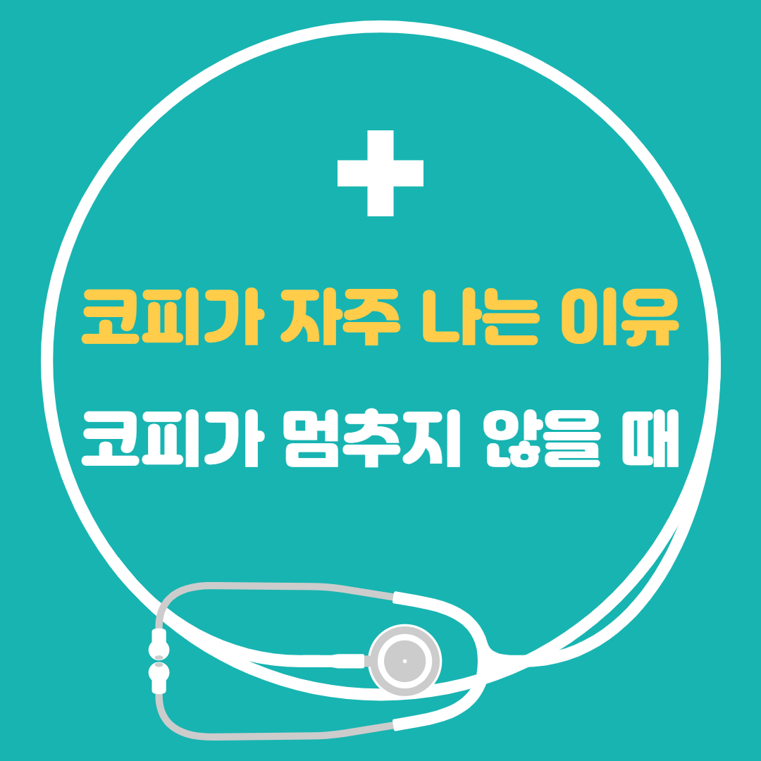  코피가 자주나는 이유, 코피나는 이유, 코피가 멈추지 않을때 간단정리
