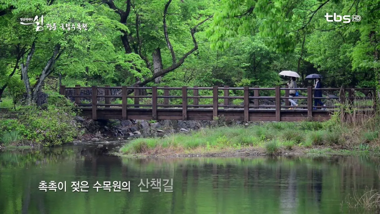 숨겨진 힐링 명소로 떠나는 포천 광릉수목원 완전 정복 가이드북 2025_4