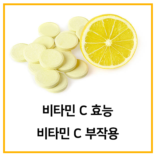 비타민 C 효능 부작용 보조제 영양제