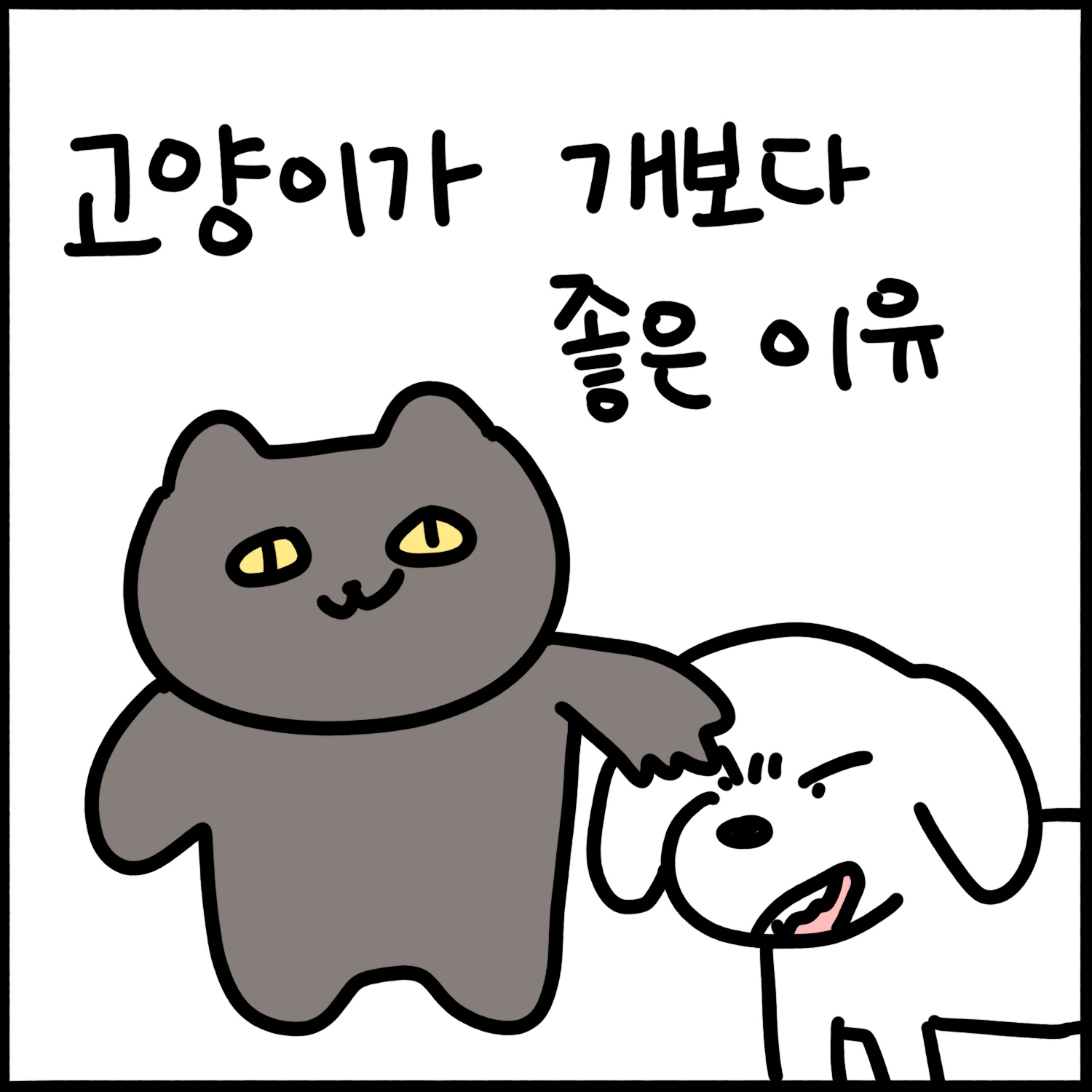 고양이가 개보다 나은 이유