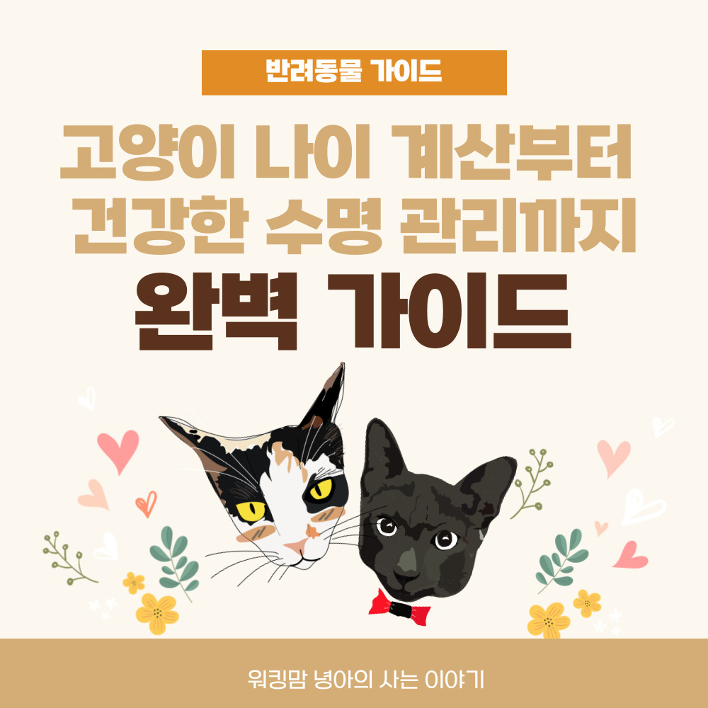고양이 나이 계산 포스팅 대문 이미지