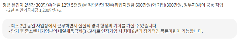 청년내일채움공제 혜택&#44; 만기 (2년 간 본인 부담금 300만 원 + 정부&middot;기업 지원금 900만 원 = 1&#44;200만 원) (출처: 고용노동부)