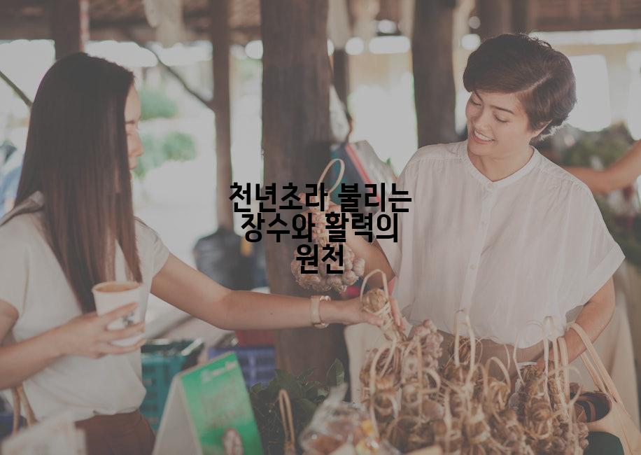 천년초라 불리는 장수와 활력의 원천