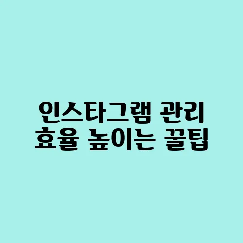 인스타그램 관리 효율 높이는 꿀팁