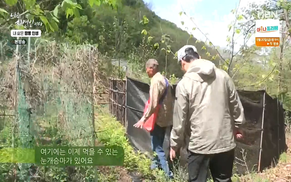 나는 자연인이다.E502.220519p-NEXT.mp4_20220519_182340.015.jpg