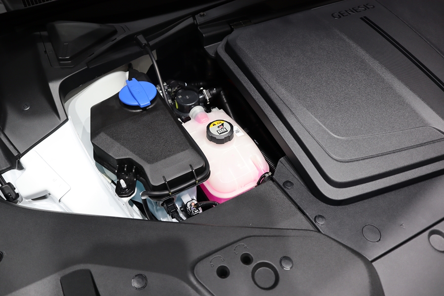 모터쇼실내가 더 1