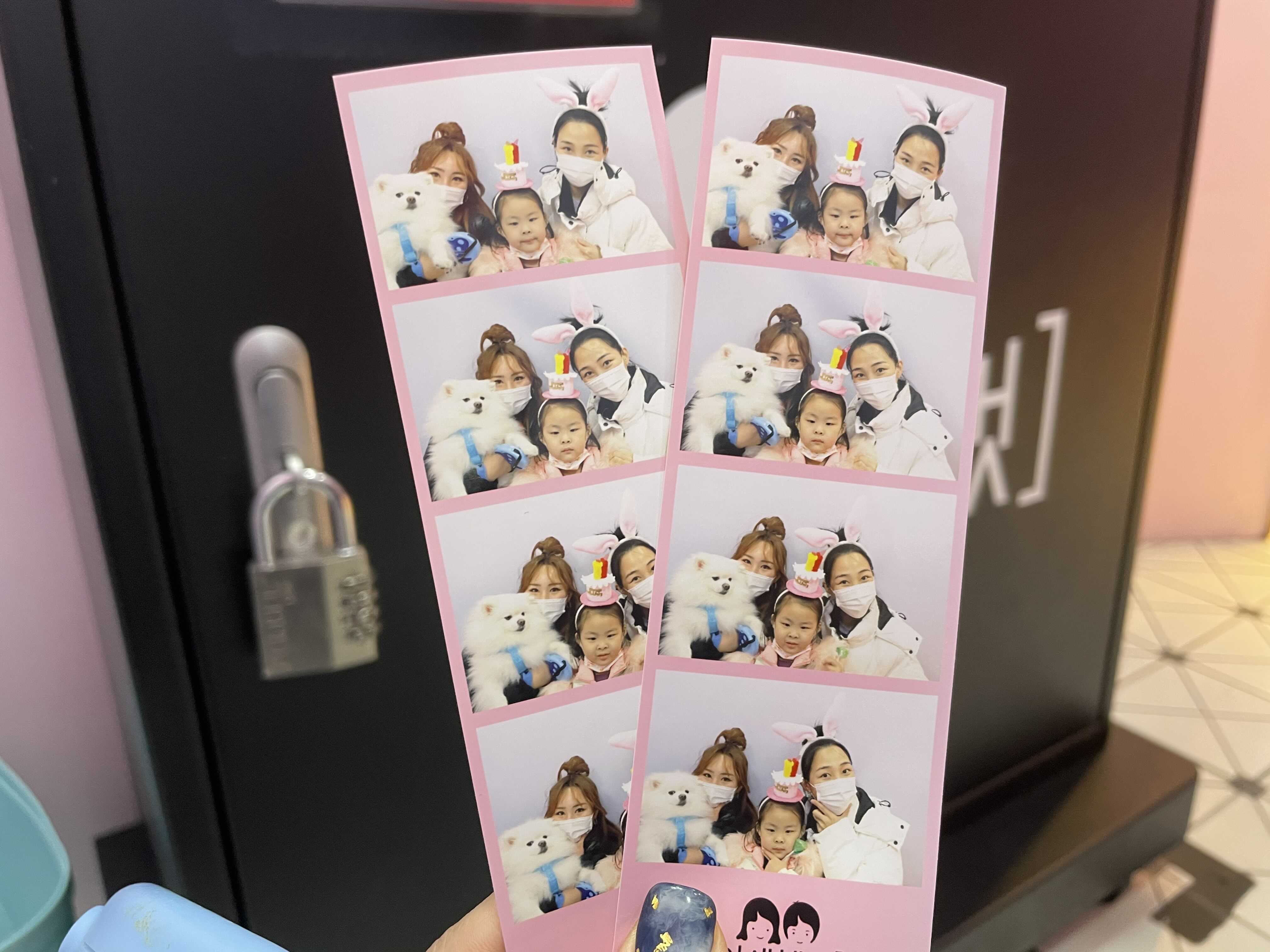  [소금이 일상] 산책가다가 인생네컷 도전!