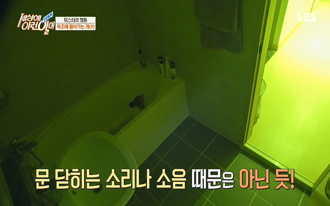 순간포착 세상에 이런일이.E1181.220525p-NEXT.mp4_20220525_202540.372.jpg