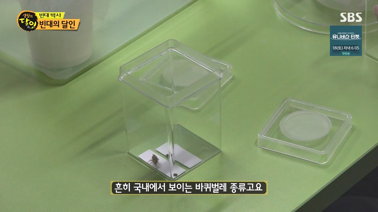 생활의 달인.E911.231114p-NEXT.mp4_20231114_201344.491.jpg