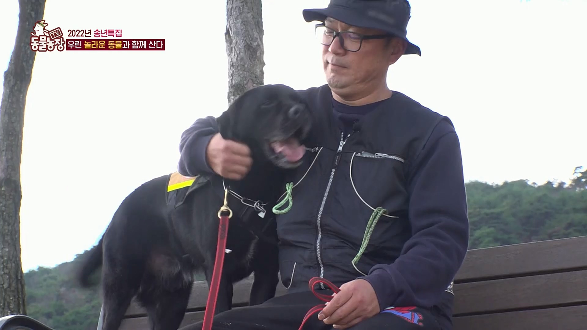 TV 동물농장.E1101.221225p.H264-F1RST.mp4_20221225_190253.701.jpg