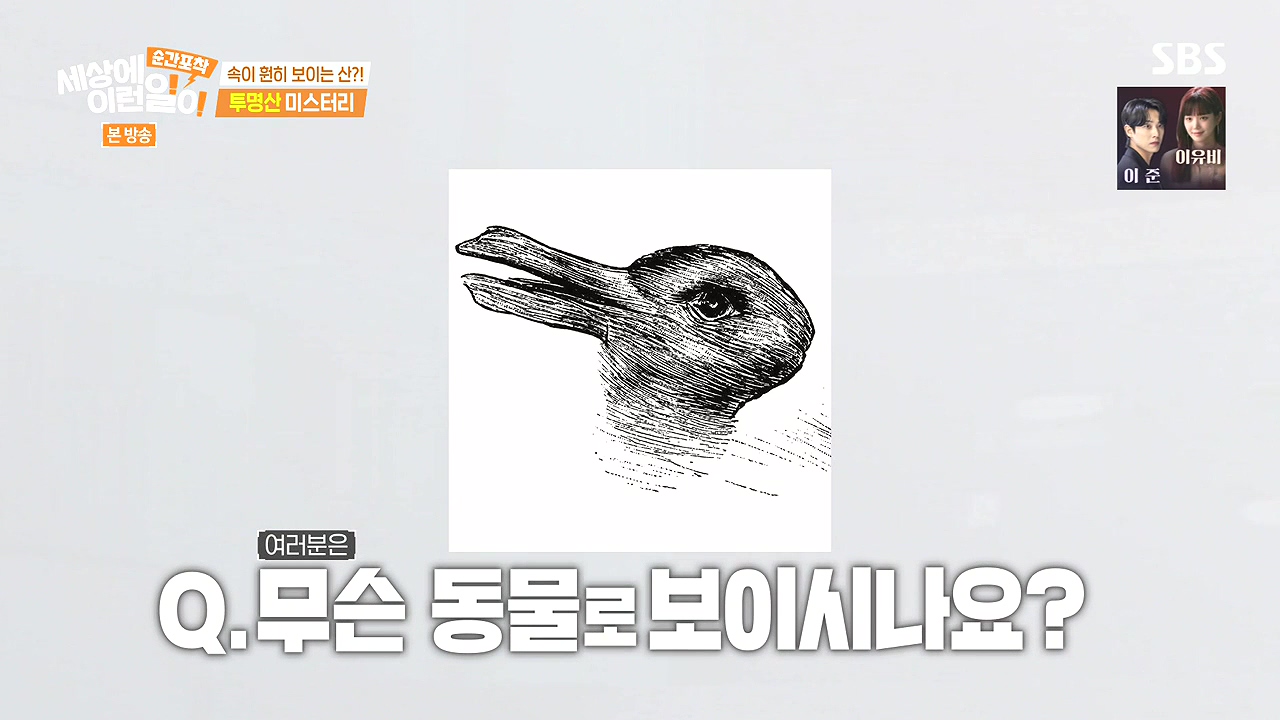 순간포착 세상에 이런일이.E1272.240407p-NEXT.mp4_20240407_173939.297.jpg