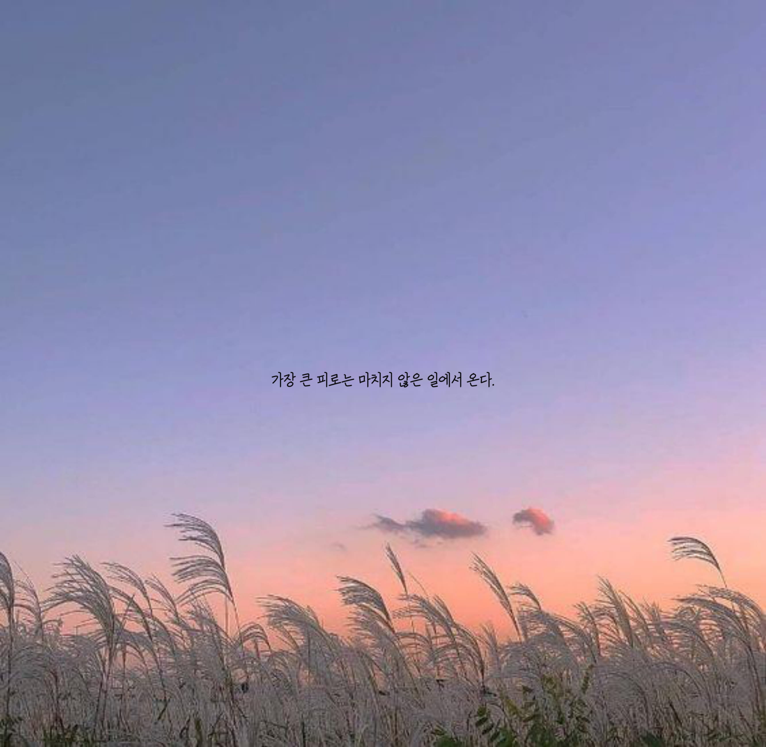  공부의지 자극 명언 아이패드 배경화면/ 감성 명언 아이패드 배경화면