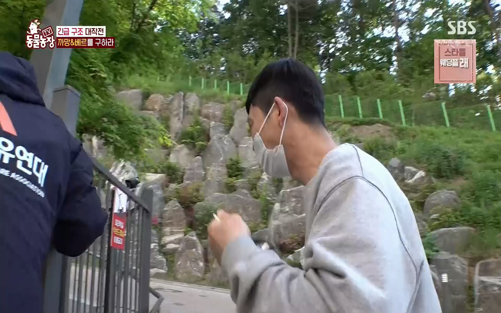 TV 동물농장.E1073.220612p.H264-F1RST.mp4_20220612_181353.181.jpg