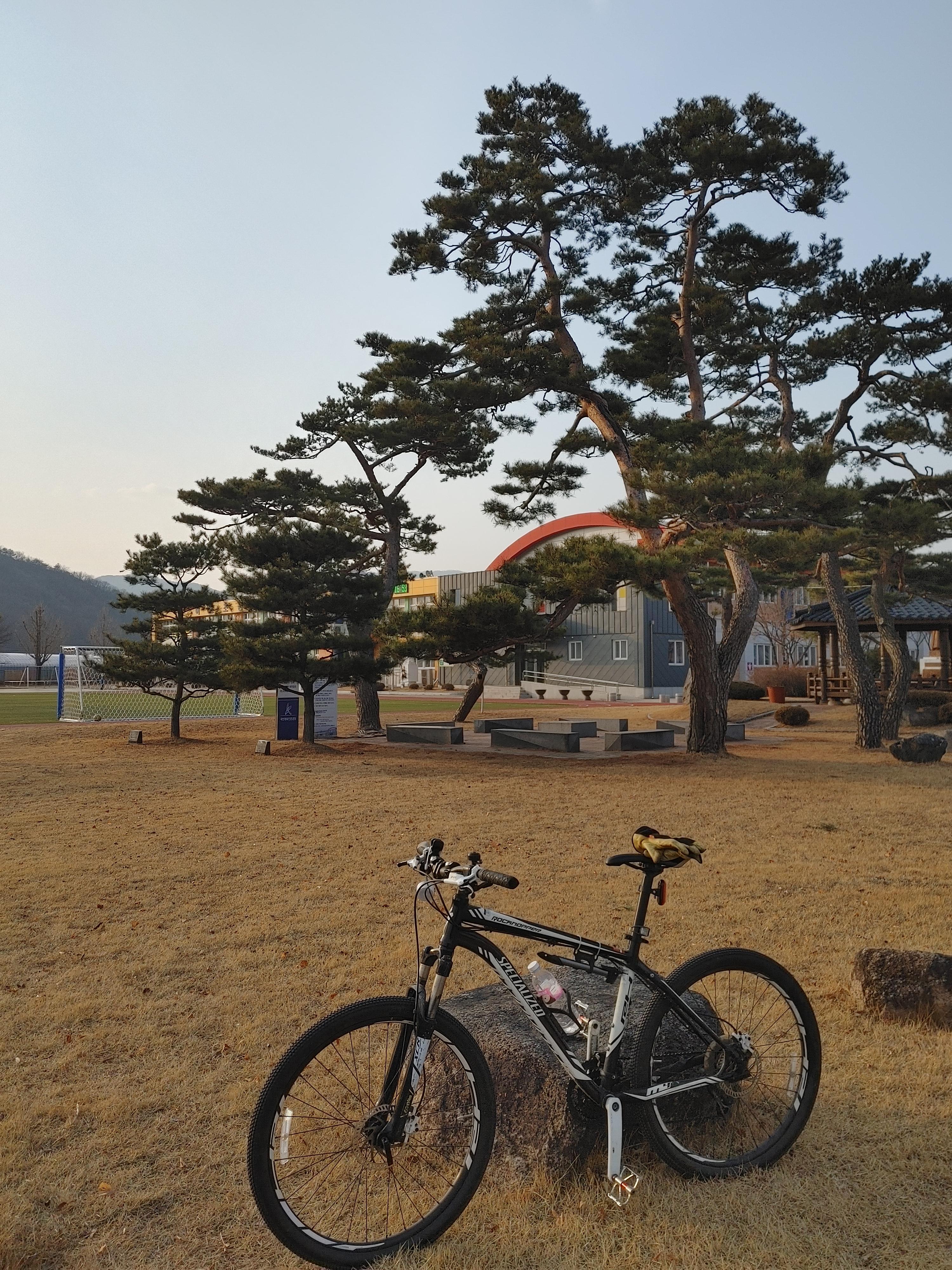가다리 이미지
