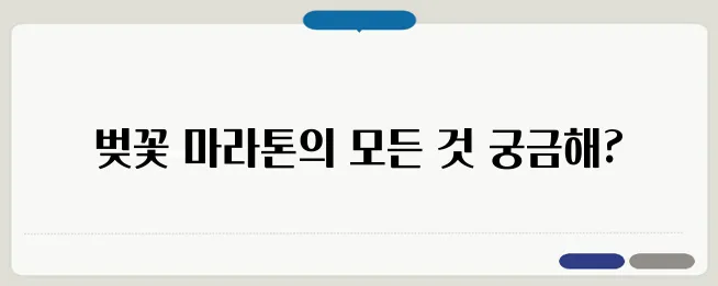 한강 벚꽃 마라톤 완전 정리! 코스·접수·일정 안내
