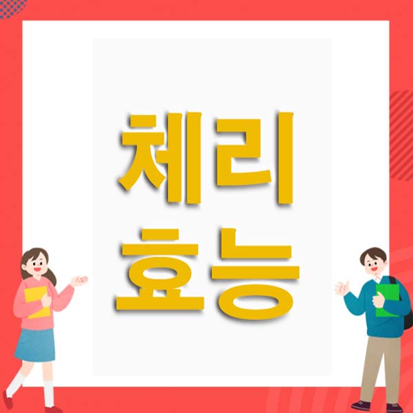  체리 효능 부작용
