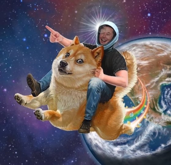 머스크와 도지